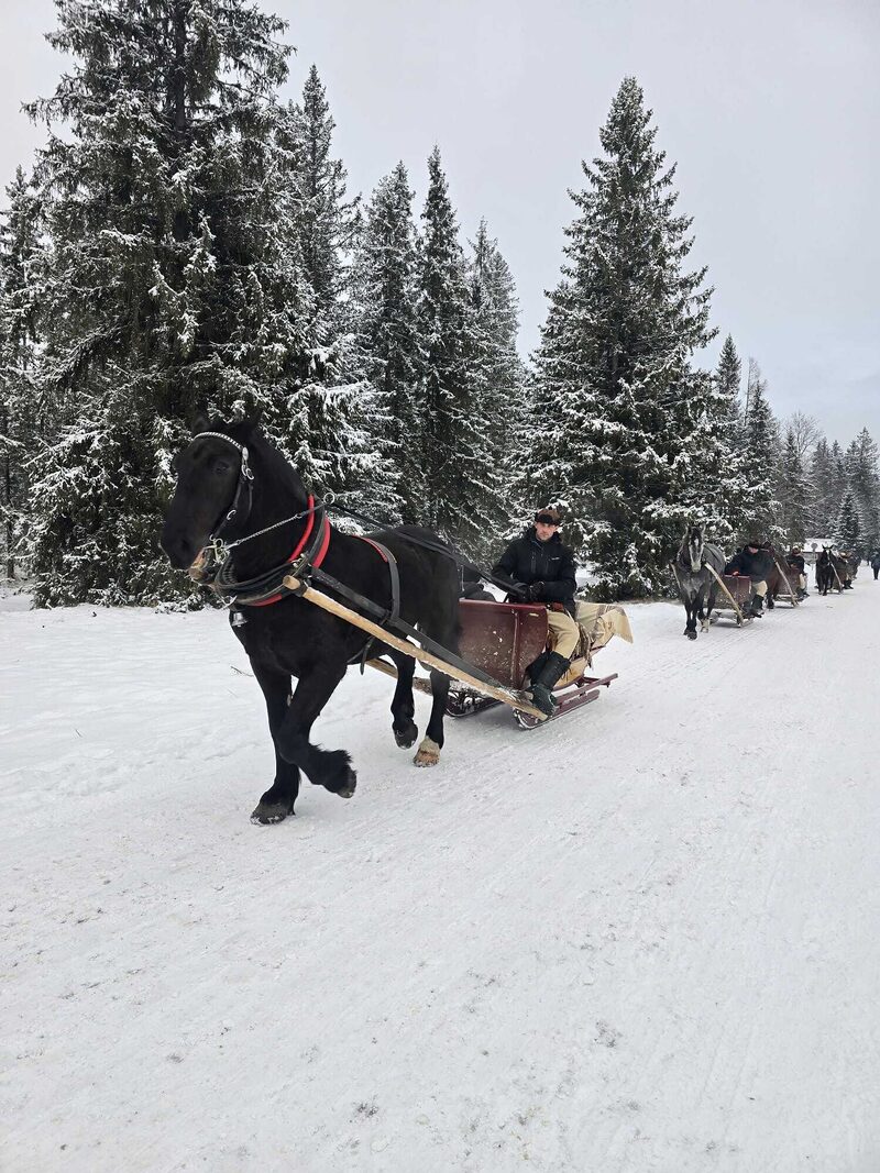 Prywatny kulig z ogniskiem
